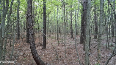 Lot 22 Airport Rd (Pca), Rockwood, TN 37854 - photo 3