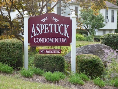 21 Aspetuck Village, New Milford, CT 06776 - photo 3