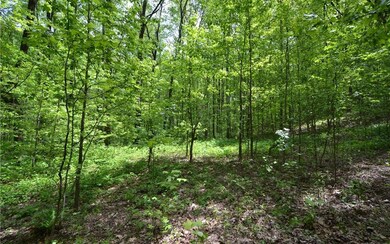 Additional View