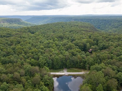 0 Woodfern Ln unit RTC2989079, Coalmont, TN 37313 - photo 5