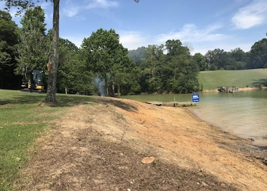 363 Devon Way Rd, White Pine, TN 37890 - photo 4