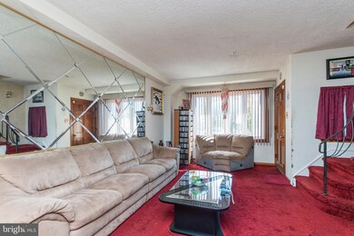 7411 Elmwood Ave, Philadelphia, PA 19153 - photo 6