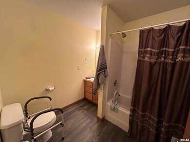 3881 W Palmyra Ct unit 18, Peoria, IL 61604 - photo 5