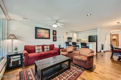 Simba Run Vail #1429 - MLS Sized - 003 -