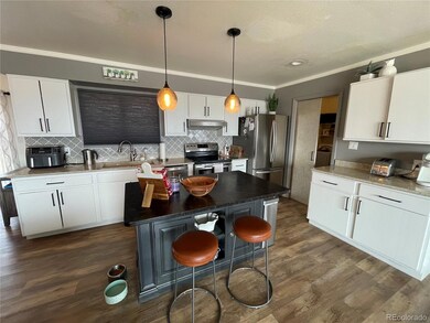 201 5th Ave, Fort Garland, CO 81133 - photo 3