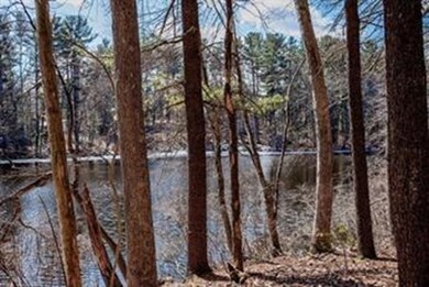 87 Moore Rd, Sudbury, MA 01776 - photo 5