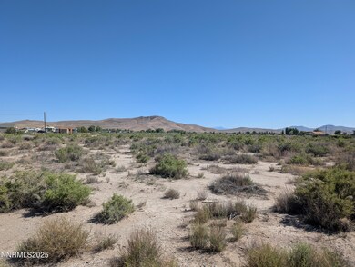 0 Cardon Ln unit 250051517, Yerington, NV 89447 - photo 4