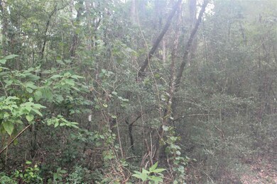 0 Arikara Dr unit 3 287846, Crawfordville, FL 32327 - photo 2