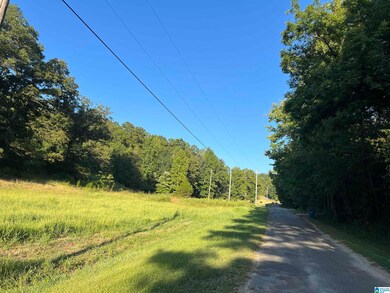 0 Taylor Rd unit 21396069, Remlap, AL 35133 - photo 5