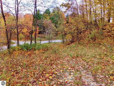 00 Walling Rd unit C, Helena Township, MI 49612 - photo 3