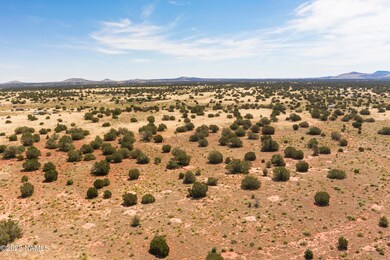 3622 Palmdale Rd, Williams, AZ 86046 - photo 5