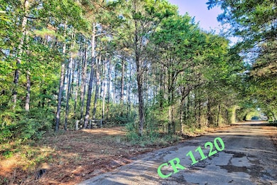 154 E County Road 1120, Redwater, TX 75501 - photo 4