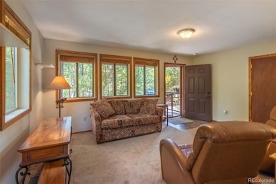 1239 Gcr 49, Grand Lake, CO 80447 - photo 6