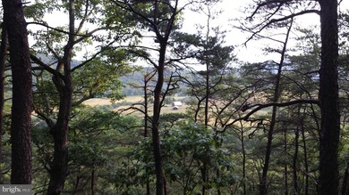 2900 Rock Face Rd, Levels, WV 25431 - photo 5