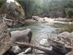 100 Gore Rd, Thornton, NH 03285 - photo 3