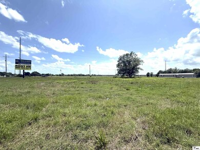 1456 Us Highway 425 S, Baskin, LA 71219 - photo 5