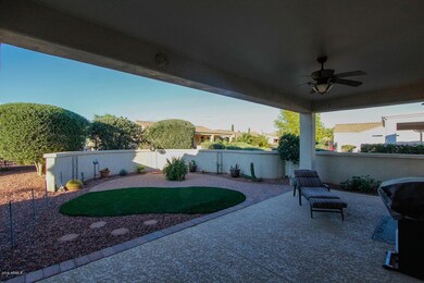 Patio and Rear Yard 2