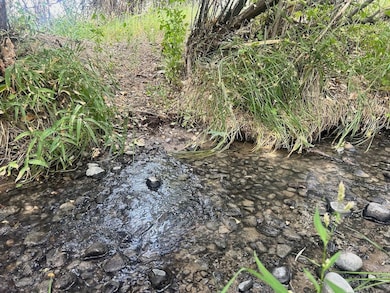 2303 Lane 40, Basin, WY 82410 - photo 4