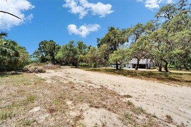 13907 Raulerson Rd unit Parcel C, Riverview, FL 33569 - photo 3