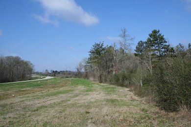 17ac Lone Star Pkwy, Montgomery, TX 77356 - photo 7