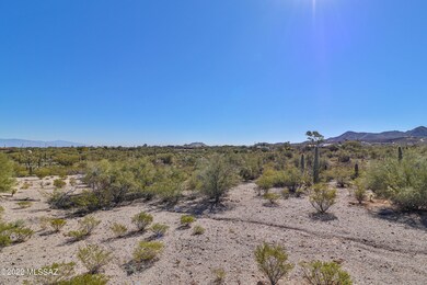 IMG_9768