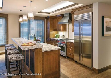 219 E Durant Ave unit H17, Aspen, CO 81611 - photo 3