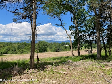 Lot 2 County Route 6, Clermont, NY 12526 - photo 5