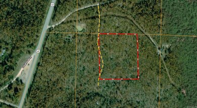 000 Private Road Off Walnut Grove, Mammoth Spring, AR 72554 - photo 2
