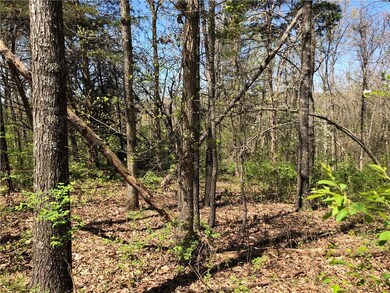 0 Burghead Dr unit 1144405, Bella Vista, AR 72715 - photo 5