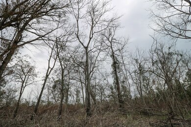 Lots Lake Douglas Rd, Bainbridge, GA 39819 - photo 2