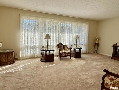 18 Chick St, Metropolis, IL 62960 - photo 5