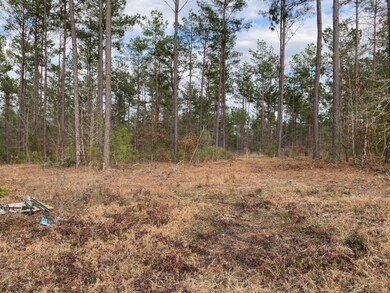 1915 Cr 620, Nacogdoches, TX 75964 - photo 6
