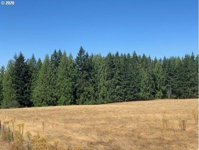 0 S Trout Creek Rd unit 800 20338653, Molalla, OR 97038 - photo 2