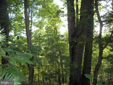 49E - 49F Tinderbox Ln, Gainesboro, VA 22603 - photo 5