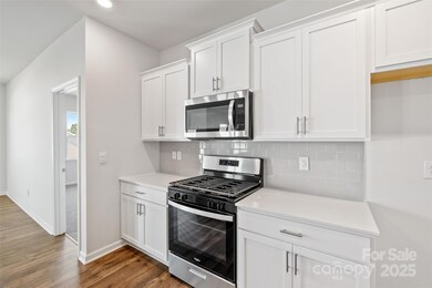 119 Bovine Branch Rd, Fletcher, NC 28732 - photo 6