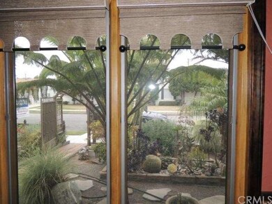 Custom Window Shades