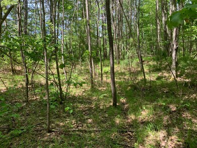 Lot 3 Somo Ridge Dr, Woodruff, WI 54568 - photo 5