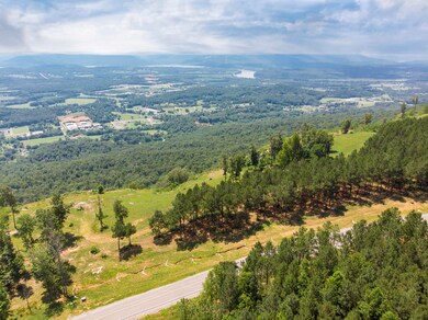 2850 River Bluffs Dr, Jasper, TN 37347 - photo 7