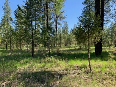 XXXX N Hatch Ln, Spokane, WA 99005 - photo 4