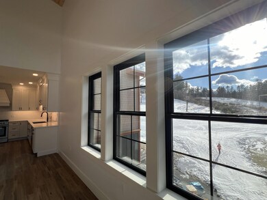 239 Skimobile Rd unit 302, Conway, NH 03860 - photo 3