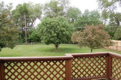 View From Deck