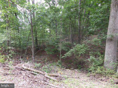 2833 McCubbins Hollow Rd, Gerrardstown, WV 25420 - photo 5