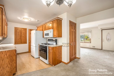 1129 Elmwood Dr, Jenison, MI 49428 - photo 5