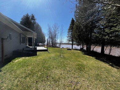 Back Yard (2)