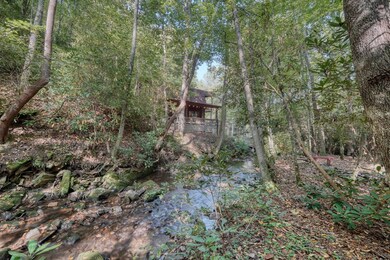 4836 Swallows Creek Rd, Hiawassee, GA 30546 - photo 4