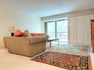 Tall Oaks Village unit 404, South Weymouth, MA 02190 - photo 2