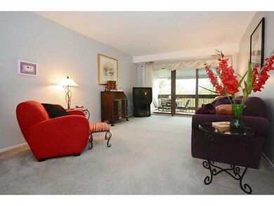 Living Room. New sliding glass doors to deck