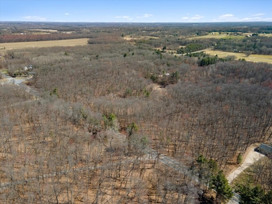 C 14714 Myers Lake Parcel Rd NE, Cedar Springs, MI 49319 - photo 6