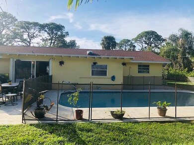 New Pool with secure kiddy fence