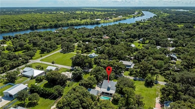 Aerial view of a forest and a nearby body of water